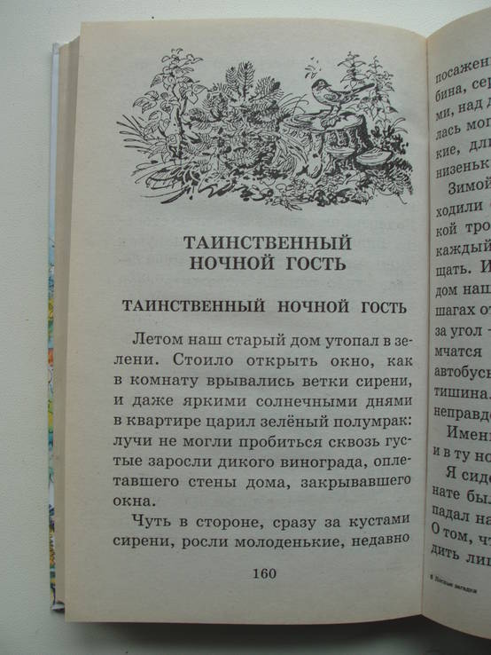 2007 Лесные загадки Сказки рассказы, фото №10