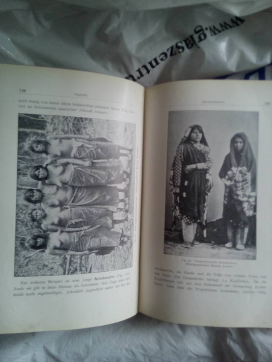 Rassenschonheit 1917  будова тіла, жінки, раси, фото №10