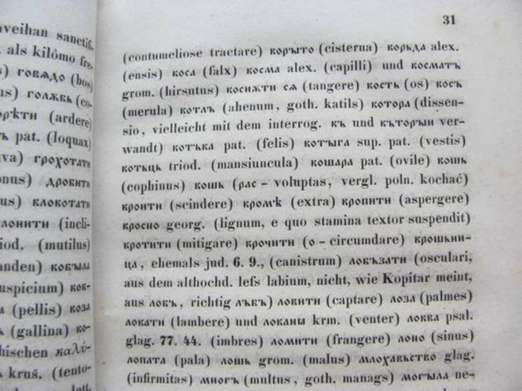 Vergleichende lautlehre der slavischen sprachen von Fr. Miklosich 1852, фото №6