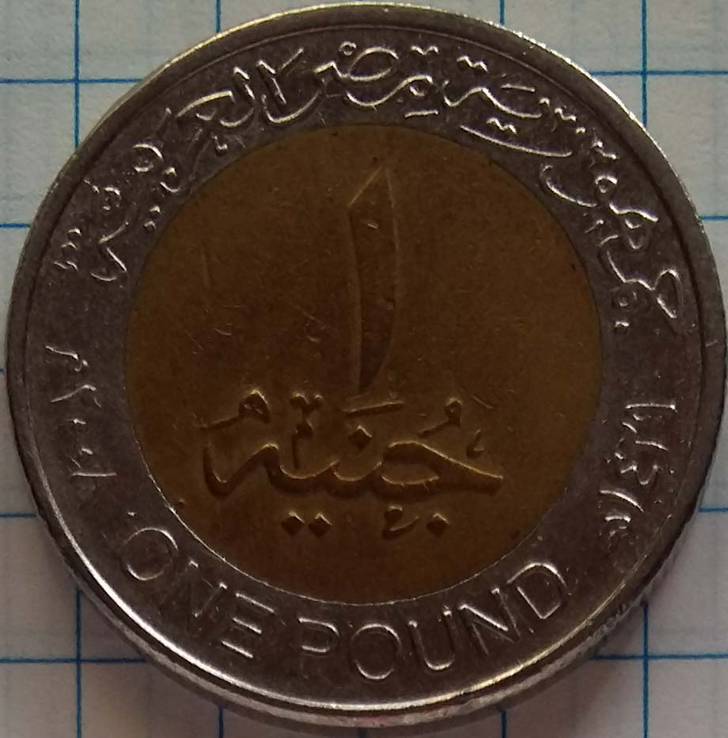 1 фунт 2008 года. Египет, фото №2