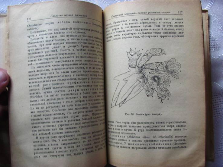 Биология наших растений 1925 растение и среда 1948, фото №7