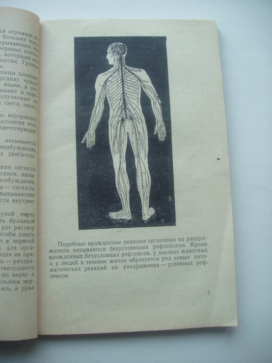 1959 Нервове виховання дітей, фото №8