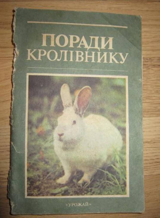 Книга поради кролівнику