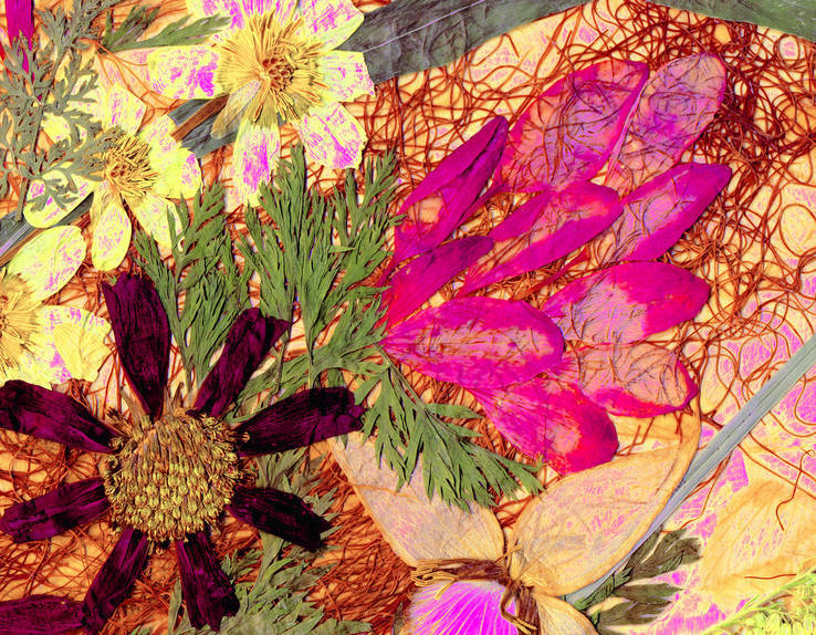 Цветочная фантазия, композиция из засушенных цветов и листьев, фото №4