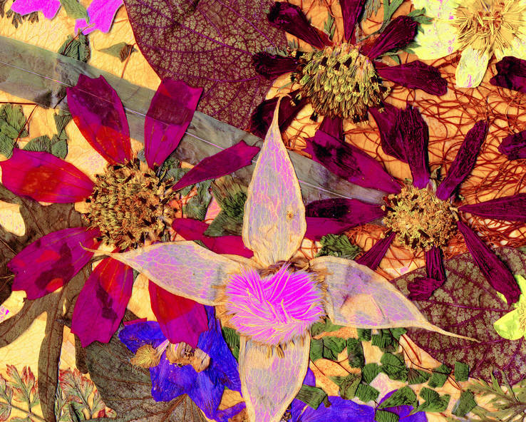 Цветочная фантазия, композиция из засушенных цветов и листьев, фото №5