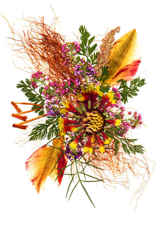 Цветочная фантазия, композиция из засушенных цветов и листьев, фото №3