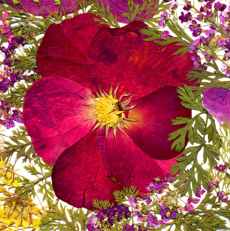 Цветочная фантазия, композиция из засушенных цветов и листьев, фото №6