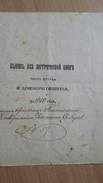 Выпись о браке Гражданская война 1919 Полтава Гербовая марка Украины, фото №3