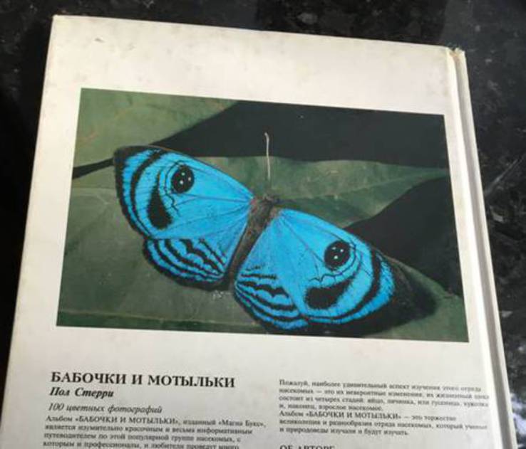 Бабочки и Мотыльки, Пол Стерри, фото №3