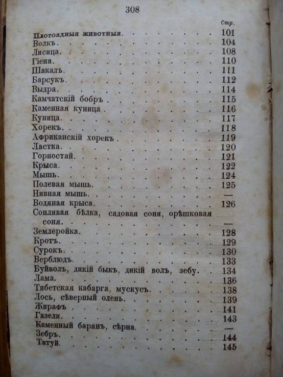 Естественная история 1866г. С цветными рисунками., фото №15