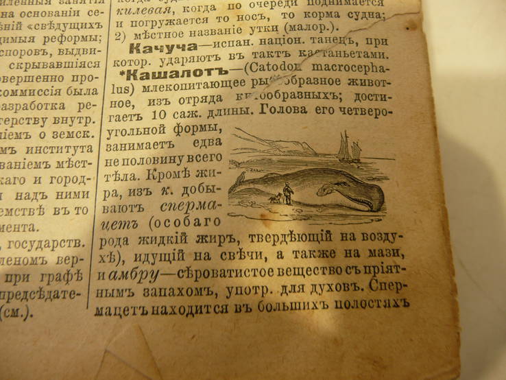 Энциклопедический словарь Ф. Павленкова 1909 г, фото №12