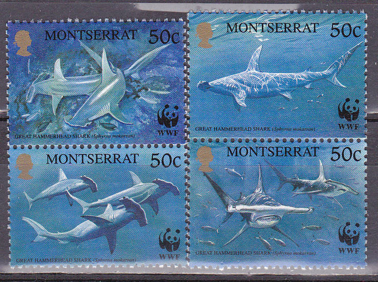 Монтсерат акулы MNH