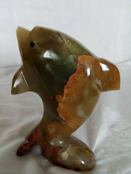 Дельфин оникс, фото №4