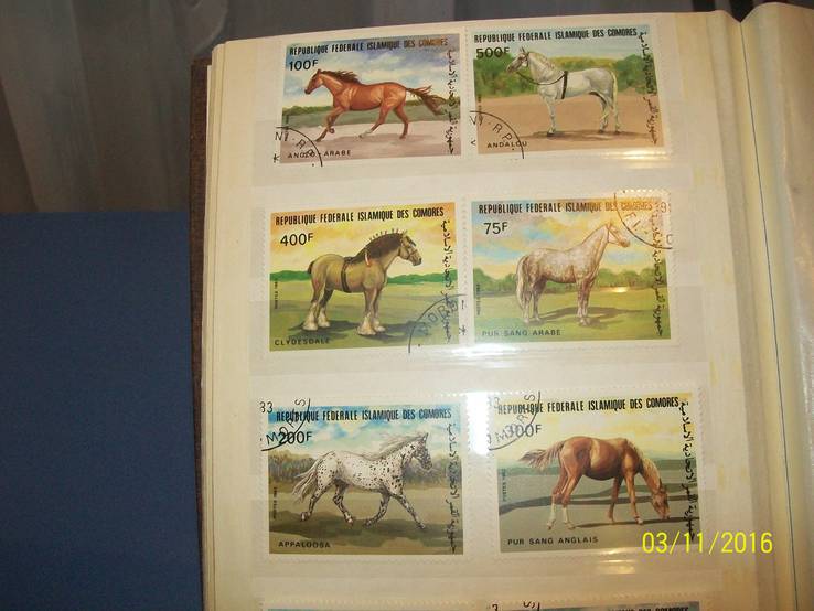 Марки, 1983 год, животные (кони) Коморськие острова, 8 марок