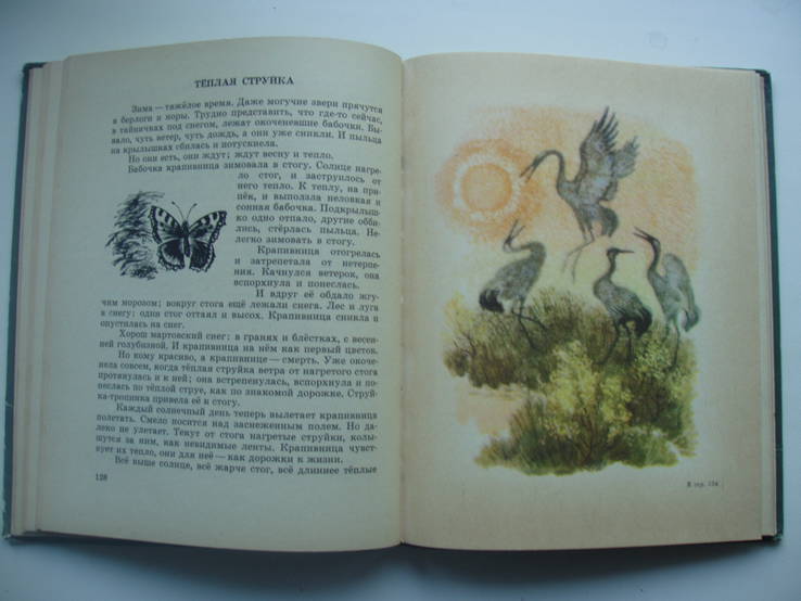 1969 Сладков Рассказы Лес Птицы Животные Природа, фото №10