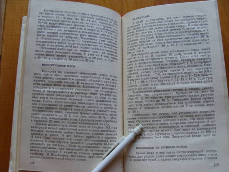 Птицы на Вашем дворе. А.А.Осадчий.  (2)., фото №8