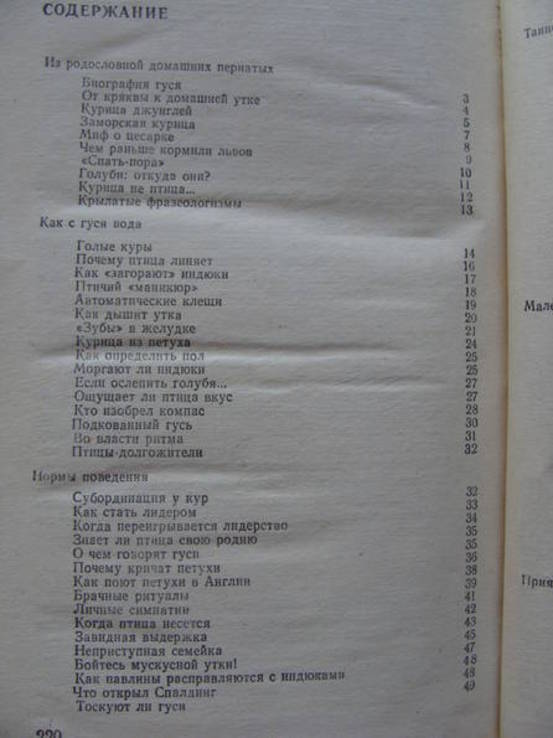 Птицы на Вашем дворе. А.А.Осадчий.  (2)., фото №10