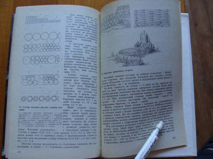 Довідник квіткаря - любителя., фото №11