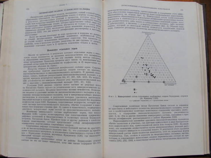 Карбонатные породы. Генезис. Распространение. Классификация., фото №11