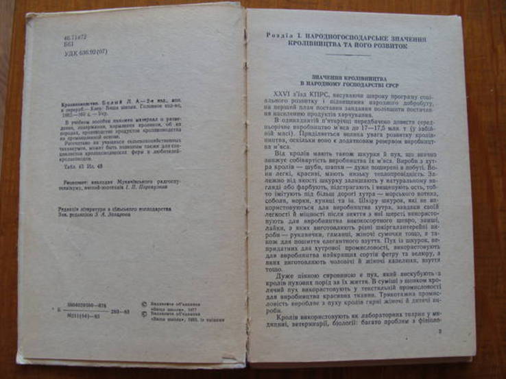 Кролівництво. 1983 р., фото №5