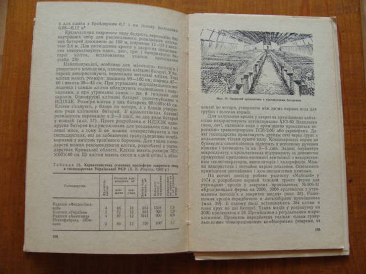 Кролівництво. 1983 р., фото №10