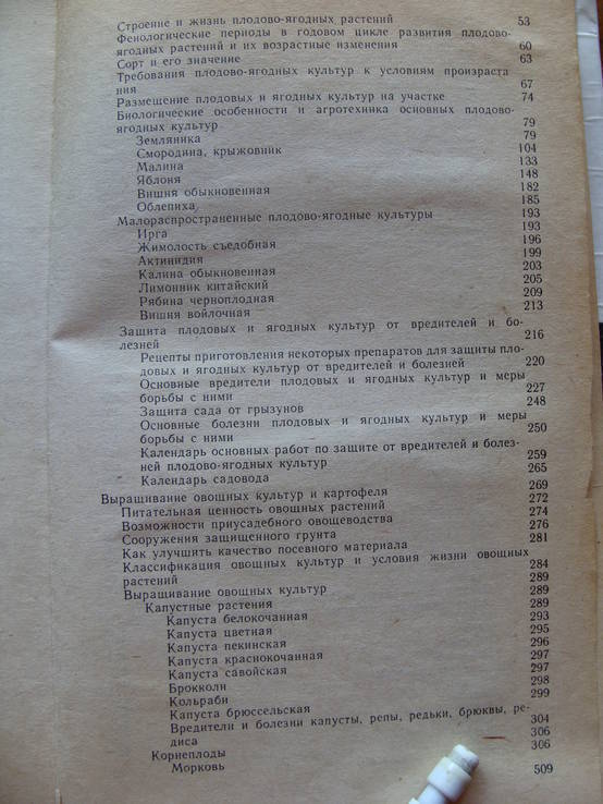 На приусадебном участке. Советы садоводу и огороднику., фото №9