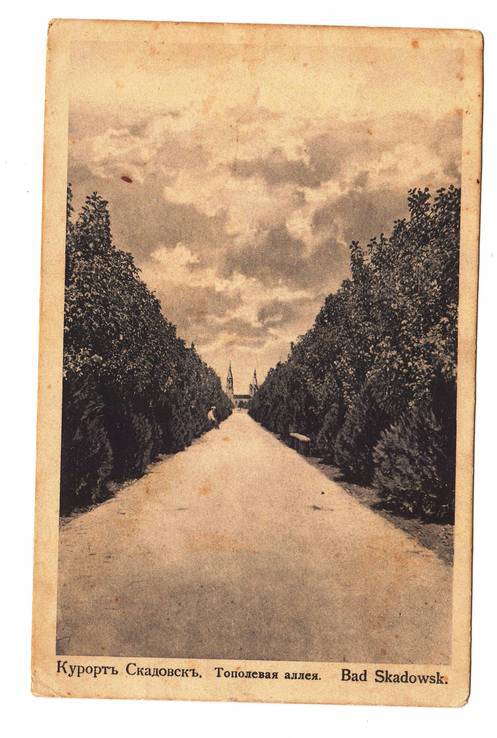 Курорт Скадовск.Тополевая аллея. 1915 год