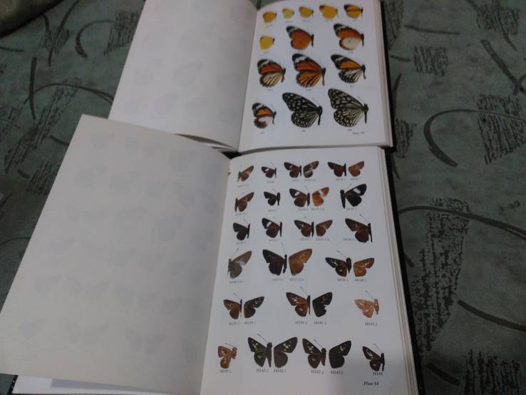 Butterflies of West Malaysia &amp; Singapore 1-2 том Бабочки Западной Малайзии и Сингапуре, фото №6