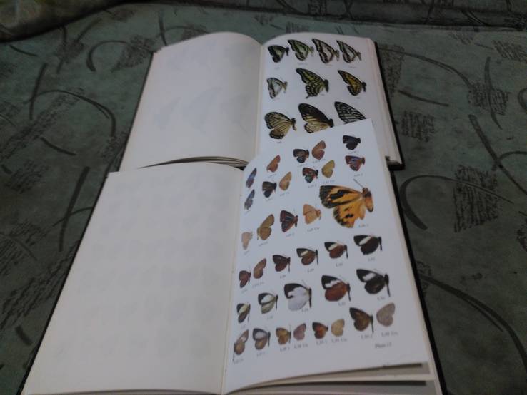Butterflies of West Malaysia &amp; Singapore 1-2 том Бабочки Западной Малайзии и Сингапуре, фото №8