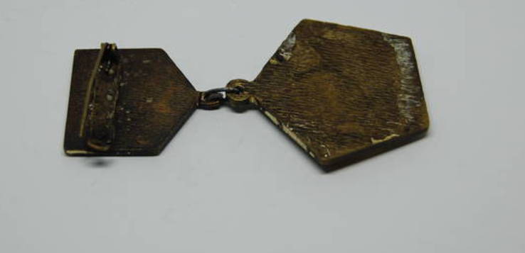 Медаль Ветеран 55-я Гвардейская Стрелковая Иркутско-Пинская Дивизия. 1918, фото №4