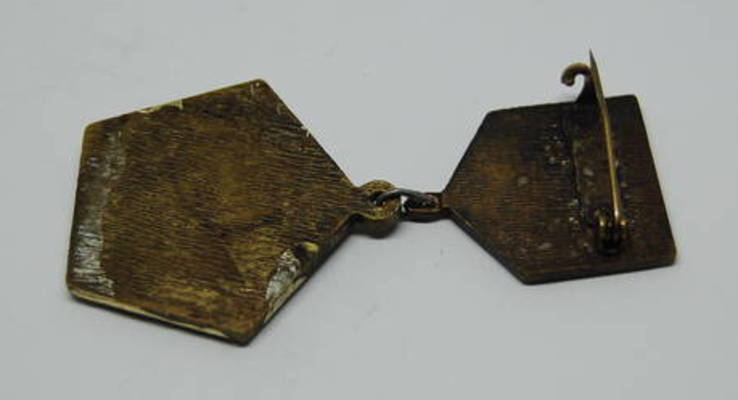 Медаль Ветеран 55-я Гвардейская Стрелковая Иркутско-Пинская Дивизия. 1918, фото №6