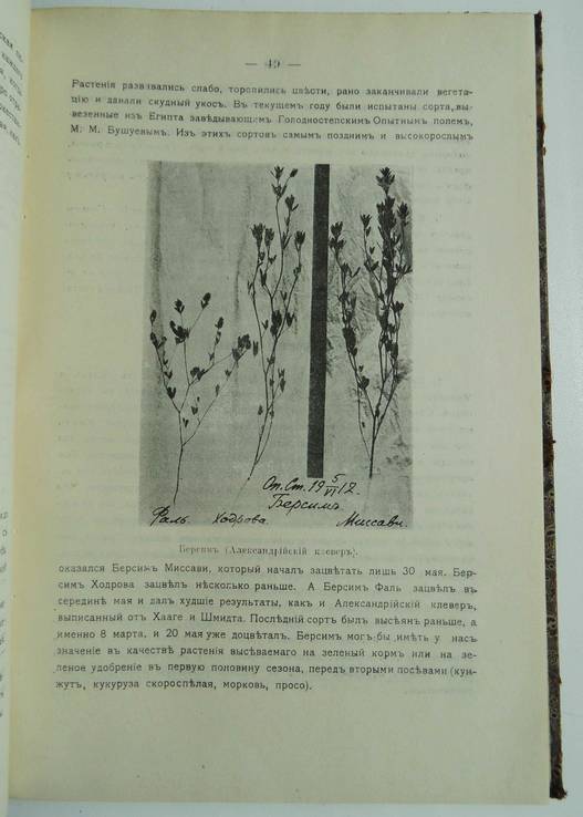 Известия Туркестанской с.-х. опытной станции. 6 выпуск., фото №7