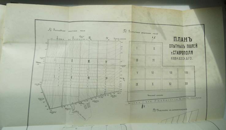 Сводный отчет Ставропольского Кавказского опытного поля., фото №8
