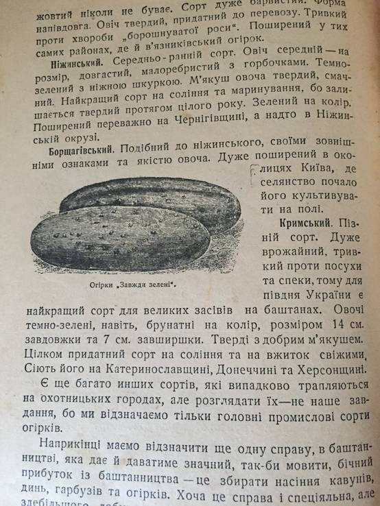 1929 Баштан та як його пильнувати, тир. 5000 єкз., фото №6