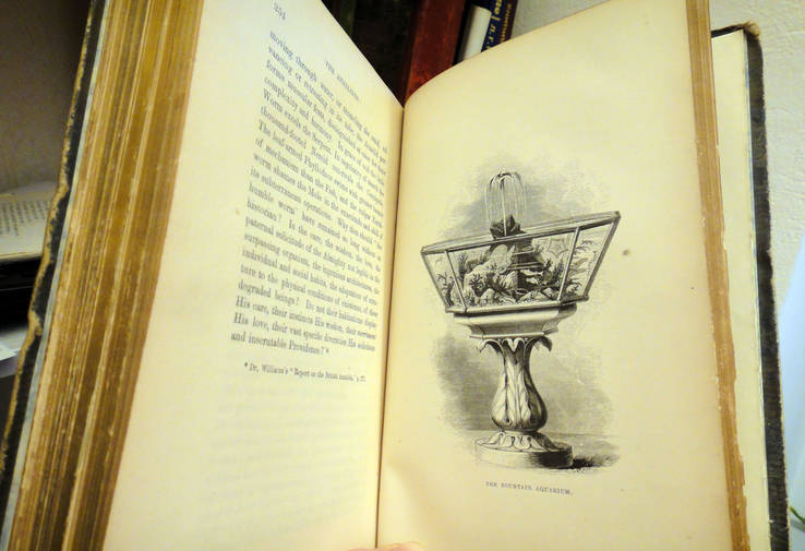 1854 Аквариум Самая первая в мире книга  об Аквариумах