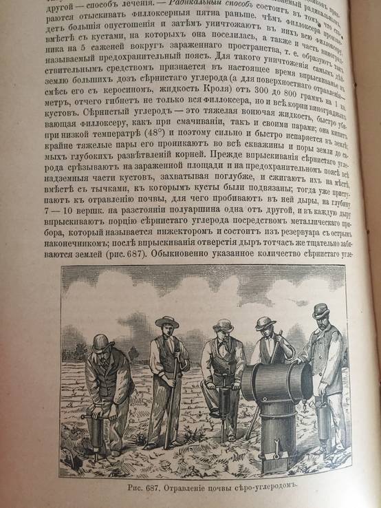 1890 Руководство к плодоводству, Н. Гоше, 2 часть., фото №3