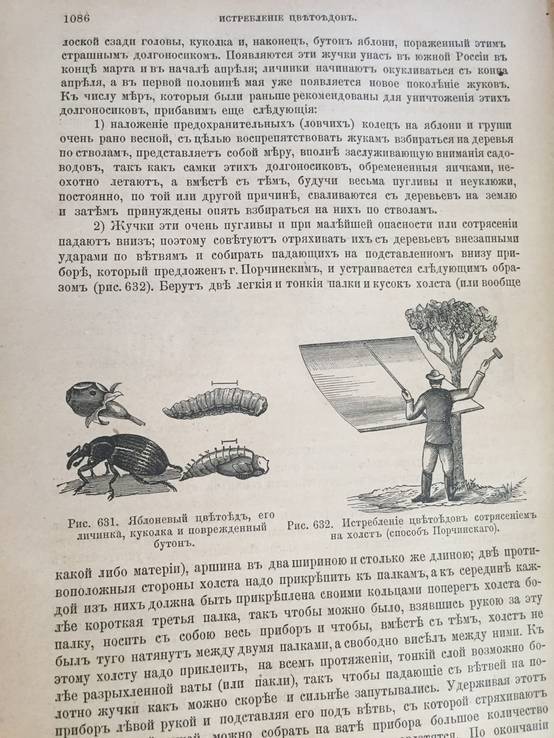 1890 Руководство к плодоводству, Н. Гоше, 2 часть., фото №4