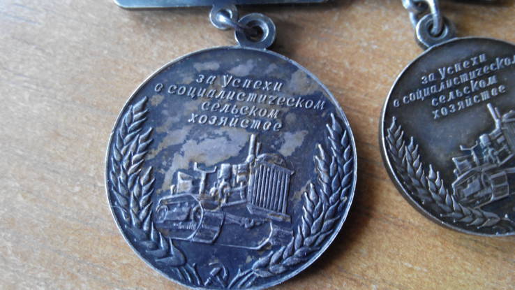 Большая и Малая медаль  ВСХВ + Значёк, фото №7