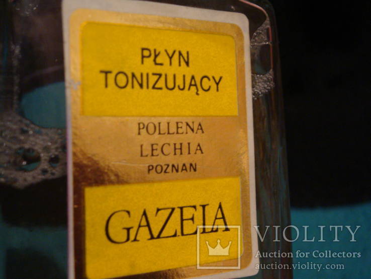 Gazela pollena lechia, фото №3