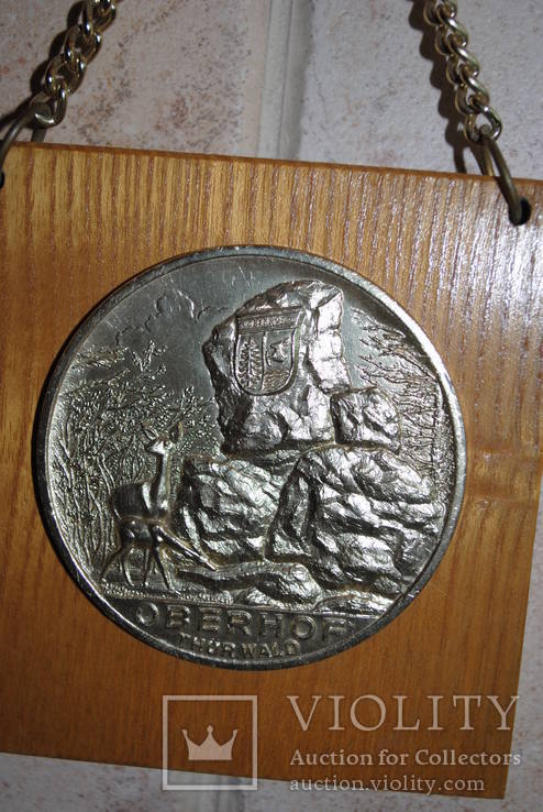 Памятная настенная медаль о поездке в ГДР в 1979 году., фото №3