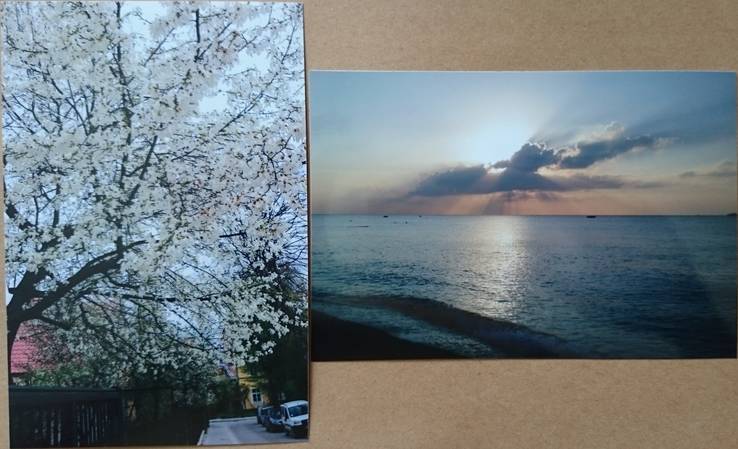 Фотокартины: Море рассвет и цветы, фото №2