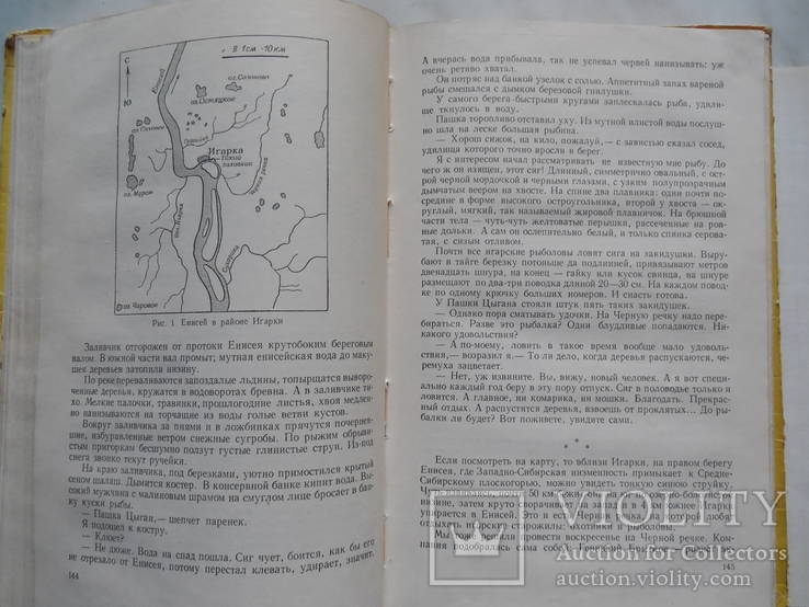 Рыболов-спортсмен. Альманах. № 11. 1959 г. (для всех, кто любит рыбалку), фото №7