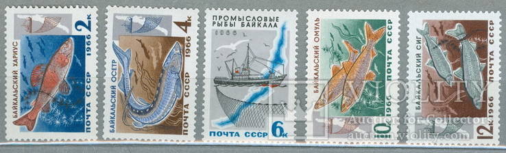 Марки СССР. Промысловые рыбы Байкала. 1966 г. Фауна