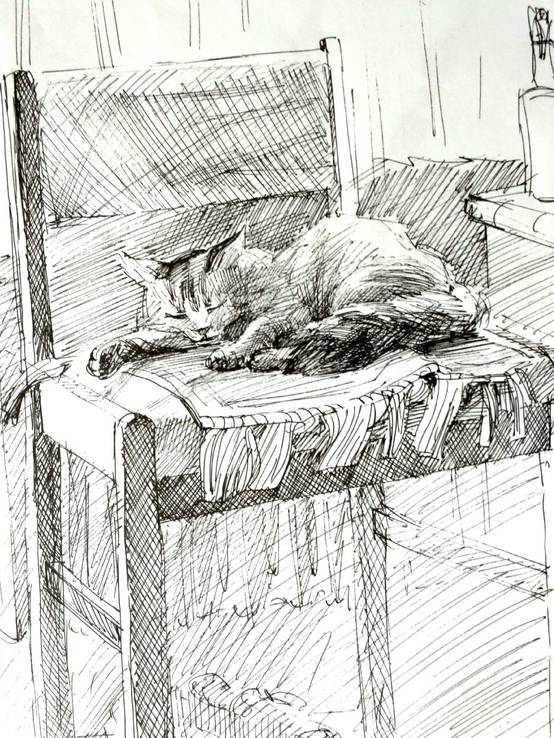 " Спящий кот", фото №3
