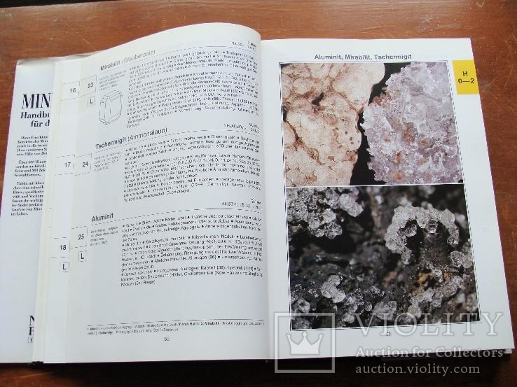 Mineralien.  Минералы., фото №6