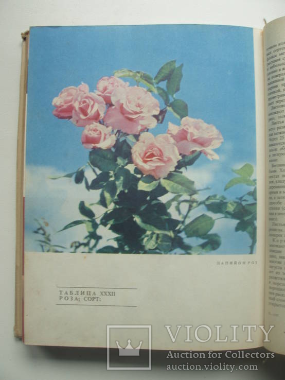 1971 Справочник цветовода, фото №12
