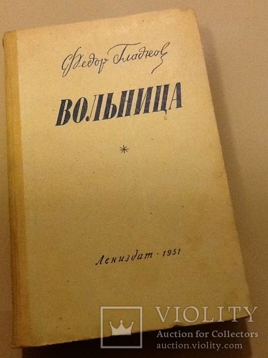 Фёдор Гладков Вольница, фото №2