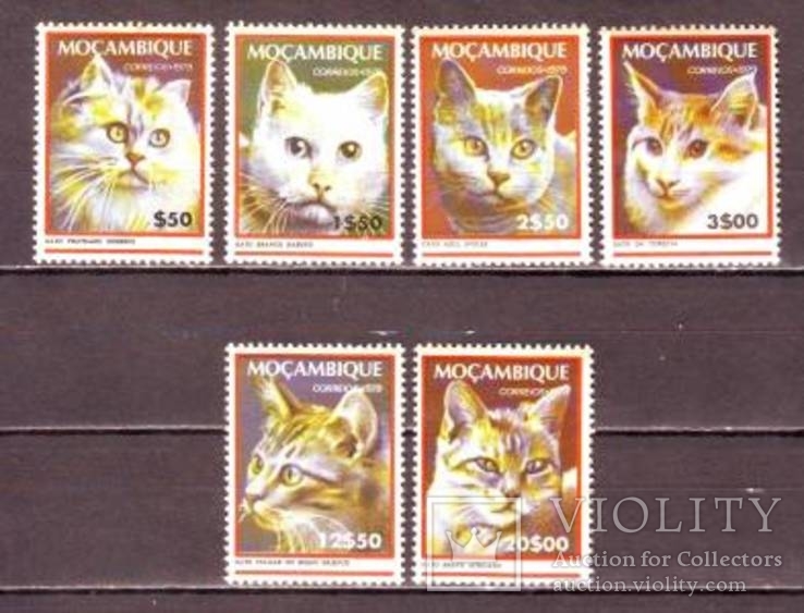 Мозамбик коты 1979 MNH