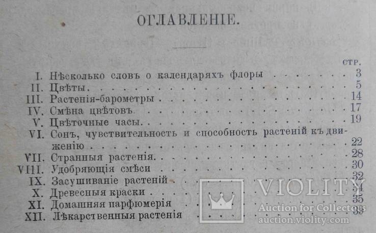 Календарь флоры. Медведев Ф., фото №3