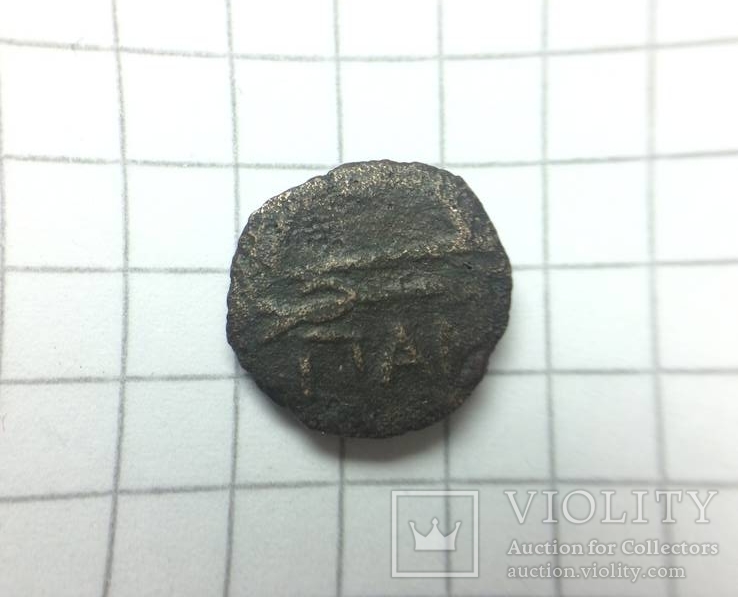 Монета Пантикапей, фото №2